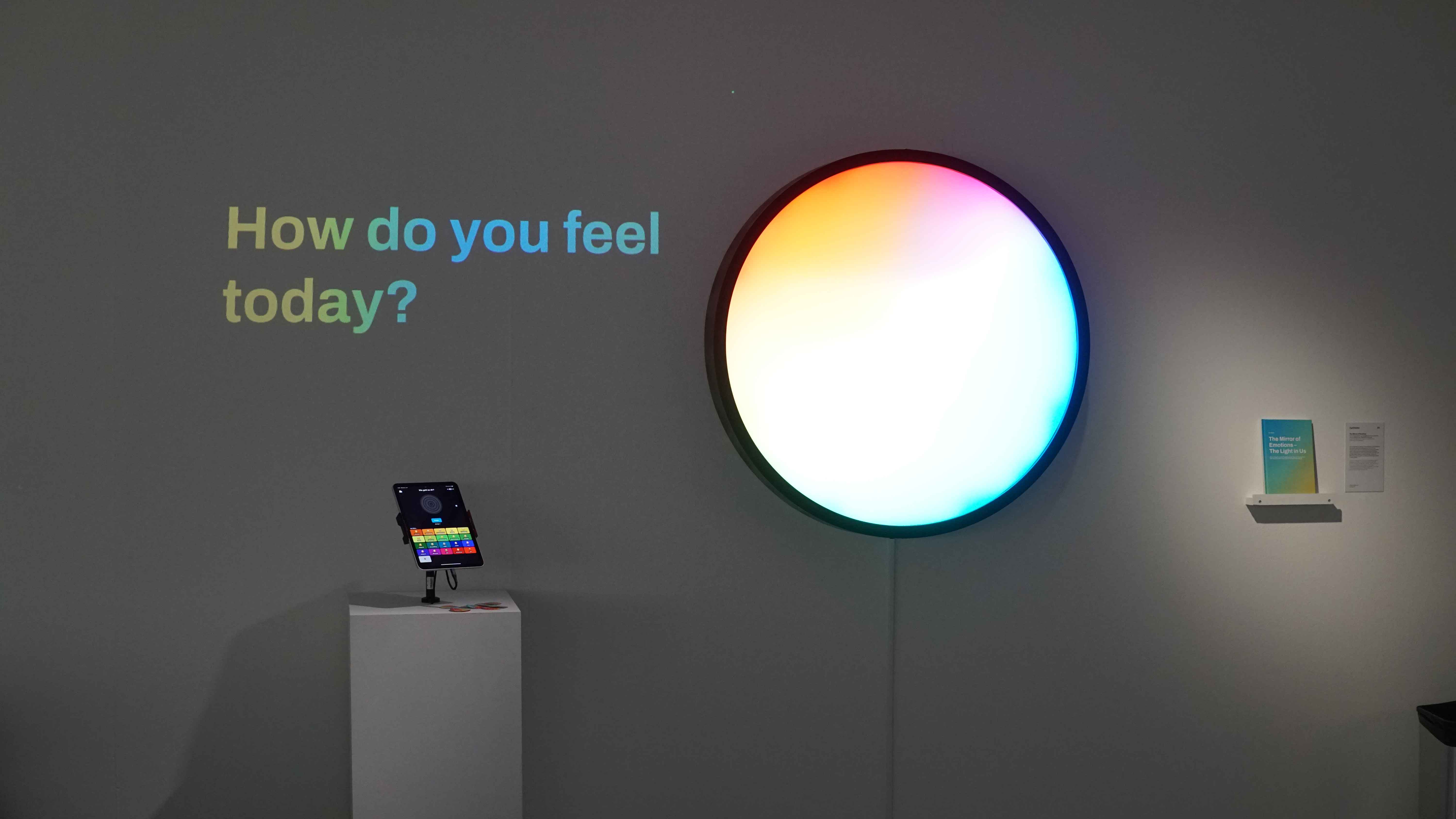 Mirror of Emotions installation detail view